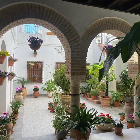 El Patio De Regina Apartment Кордоба Екстериор снимка