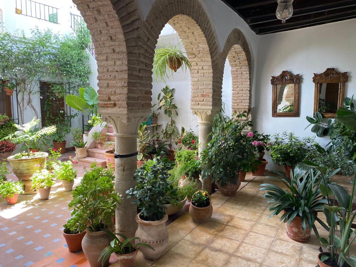 El Patio De Regina Apartment Кордоба Екстериор снимка