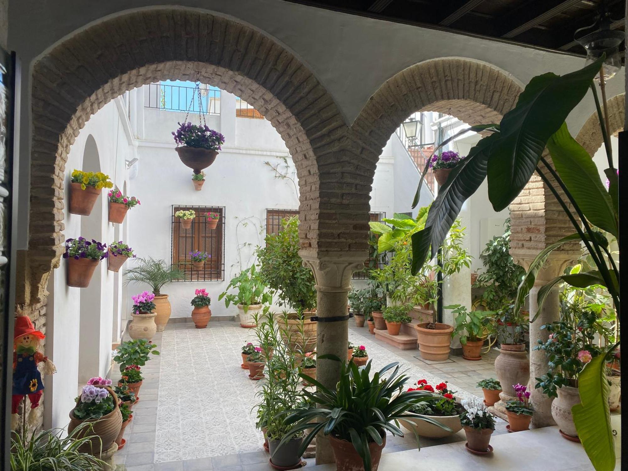 El Patio De Regina Apartment Кордоба Екстериор снимка