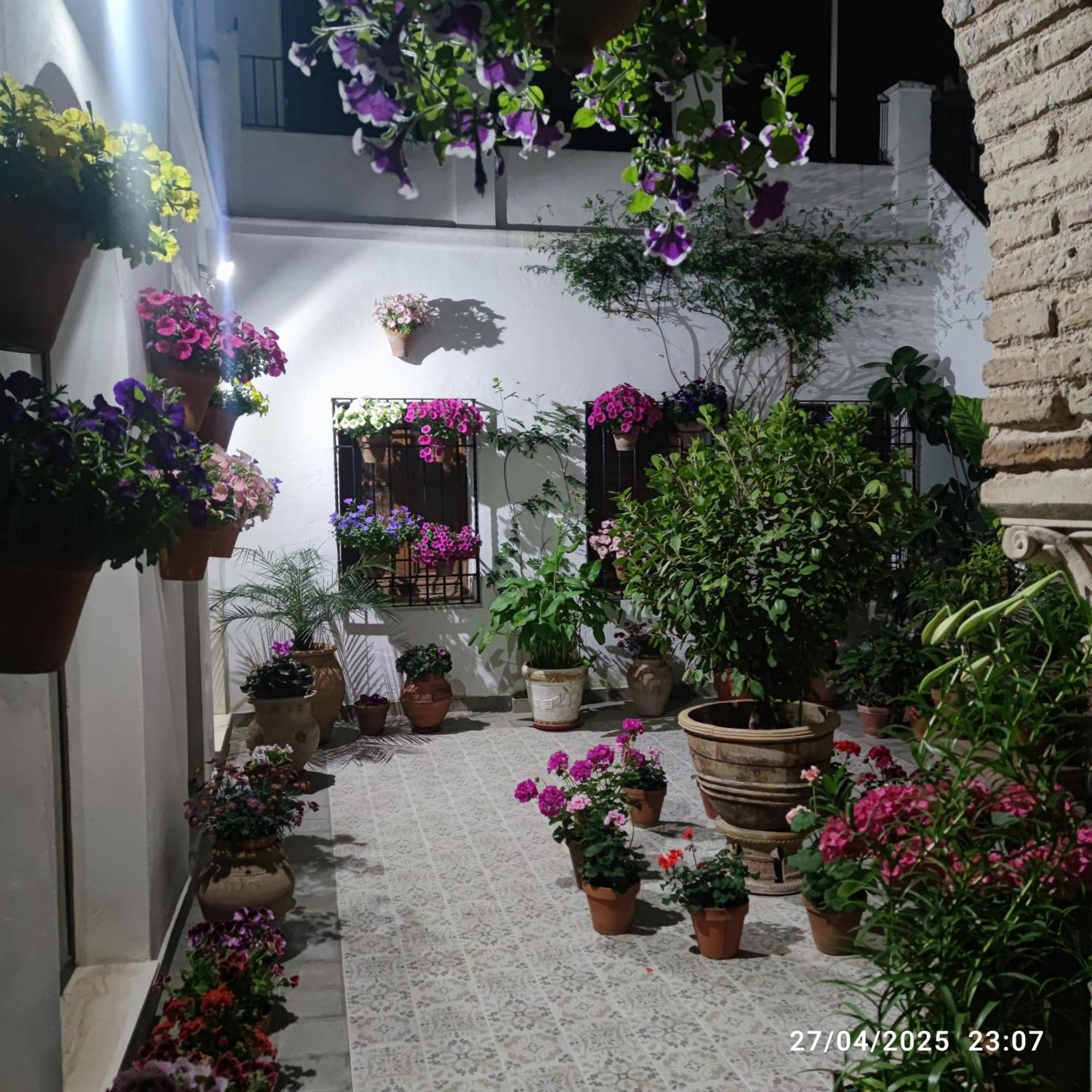 El Patio De Regina Apartment Кордоба Екстериор снимка