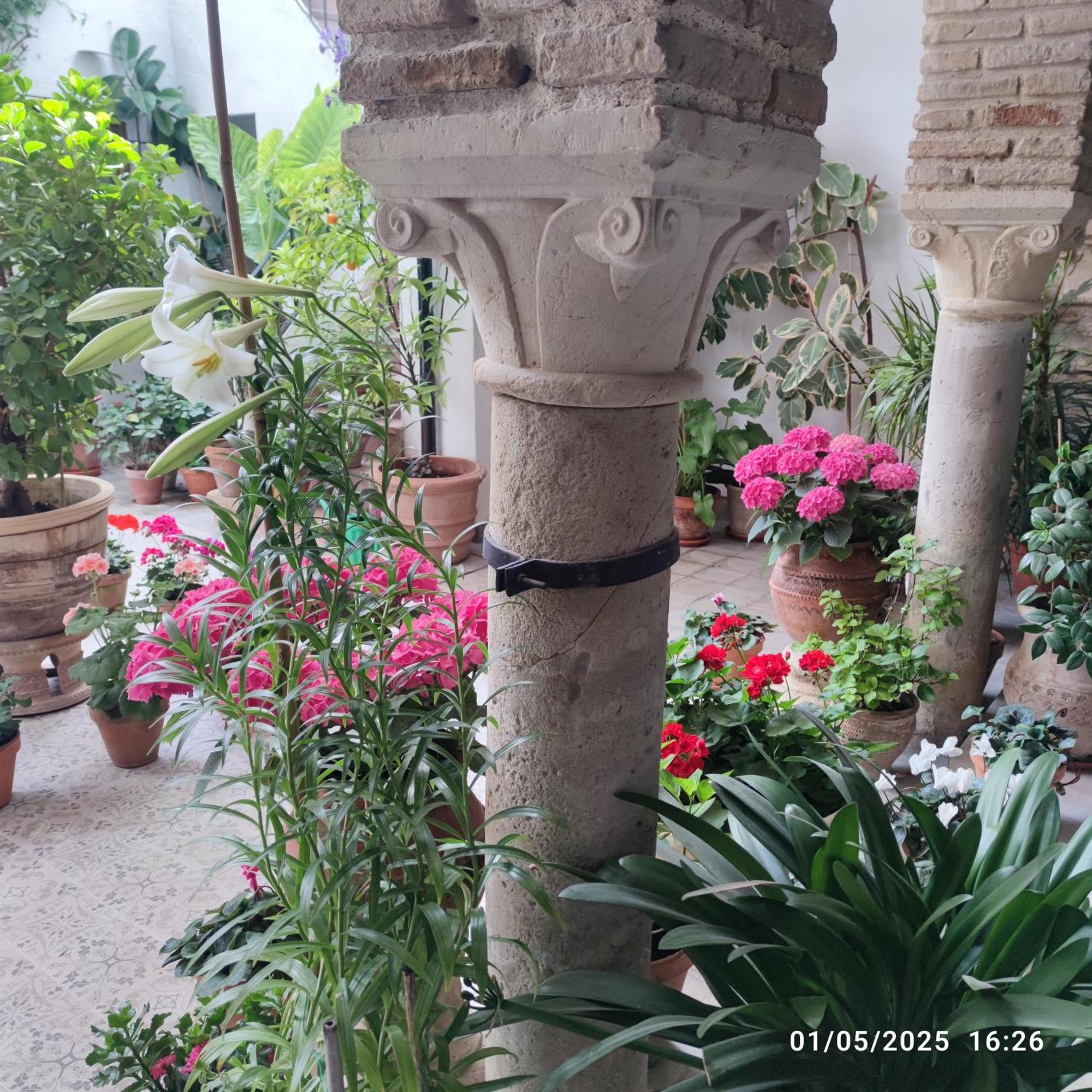 El Patio De Regina Apartment Кордоба Екстериор снимка
