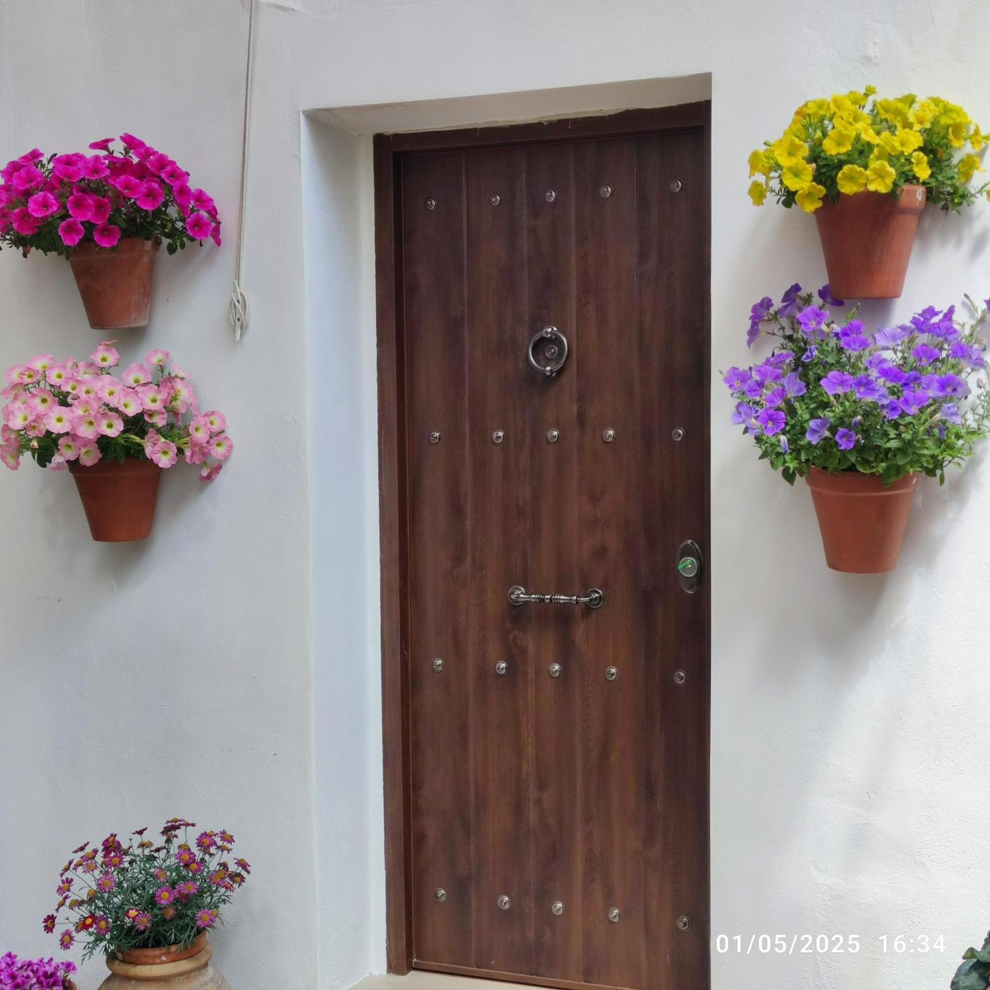 El Patio De Regina Apartment Кордоба Екстериор снимка