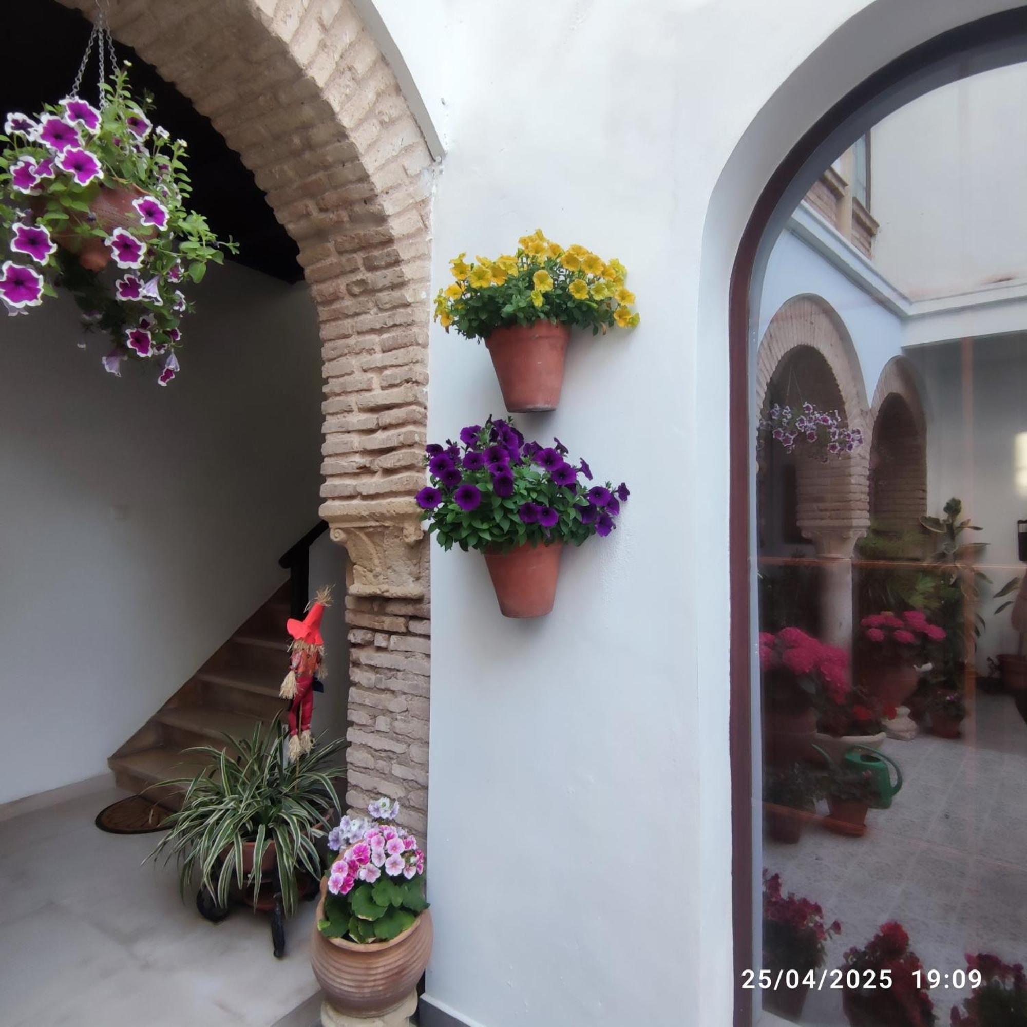 El Patio De Regina Apartment Кордоба Екстериор снимка