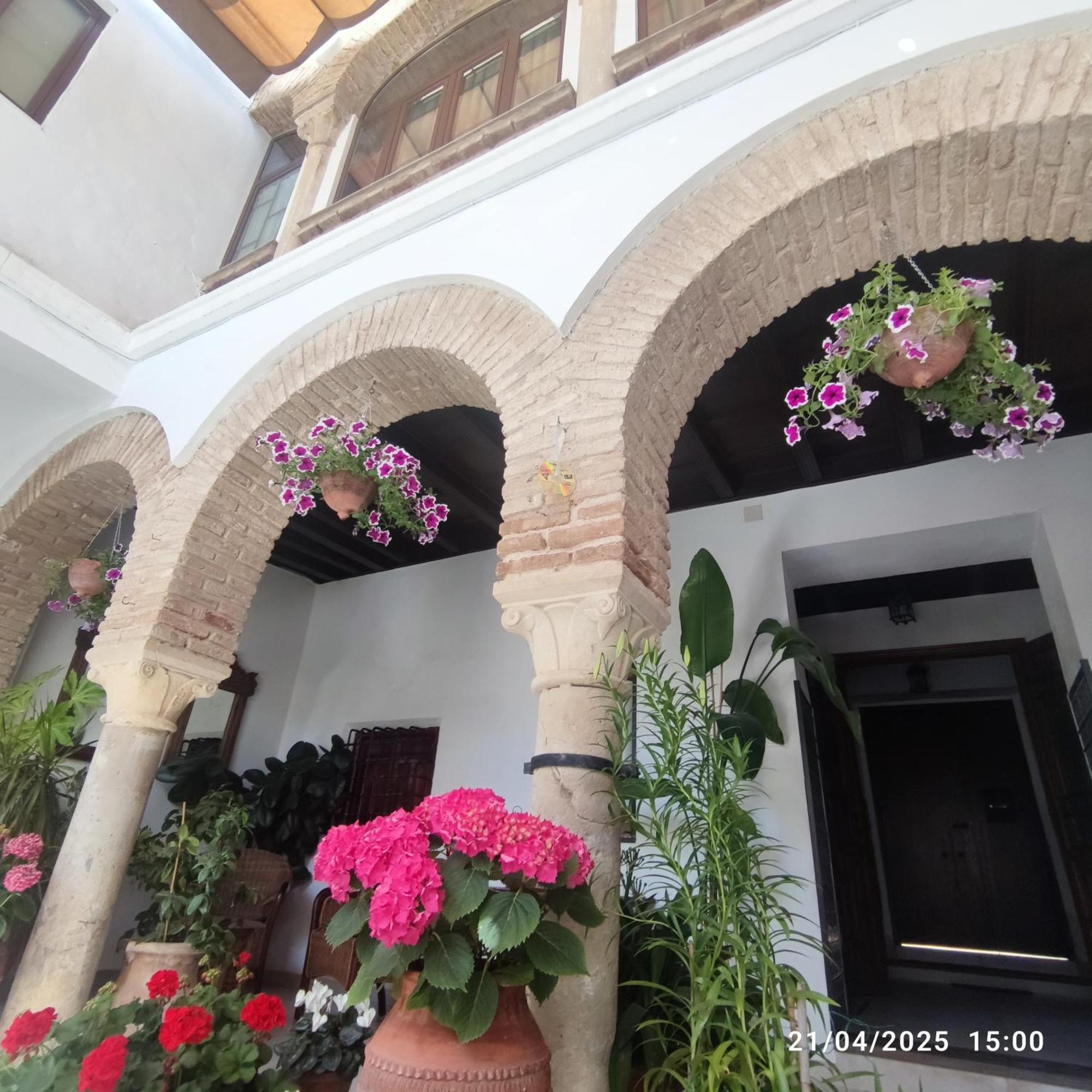 El Patio De Regina Apartment Кордоба Екстериор снимка